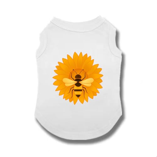 [XANPYO] ybg t  ^ 5XL Ȑ  킢  LOBe ^ tďH їh~  TVc  hbOEFA t X|[c ^Ngbv _炩 U ₩