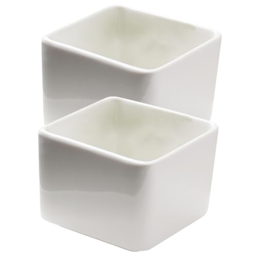 TOYANDONA 2 pezzi Ciotole Piccole Quadrate in Ceramica per Salse e Condimenti Design Creativo per Buffet e Feste per Ristoranti e Monoporzioni