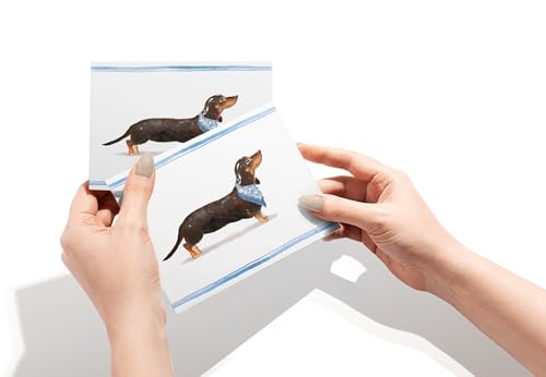 Image of Twigs Paper Dachshund Thank You Cards, 12 Dog Stationery Note Cards