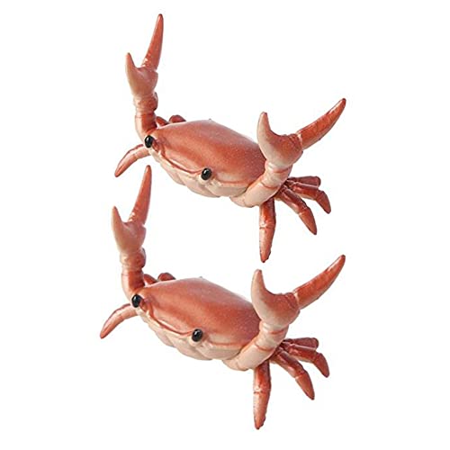 rbbme 2̐VnIȂ킢Jjyz_[dʋJjyz_[uPbg[bNMtgXe[Vi[IW