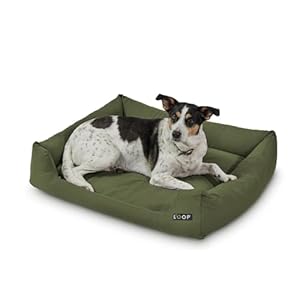 Orthopädisches Hundebett Grün 2XL für große Hunde – Recyceltes Flockenfüllmaterial, Waschbarer, robuster Baumwollbezug mit soliden Reißverschlüssen, Allergikerfreundlich, Indoor/Outdoor