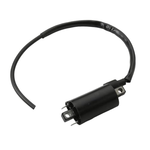 Bobine d'allumage moto haute tension compatible F1 GT et 620