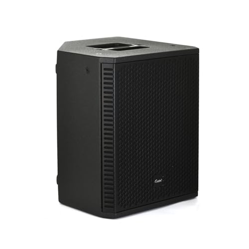 EXOTON B-12 Powered PA Speaker - 12