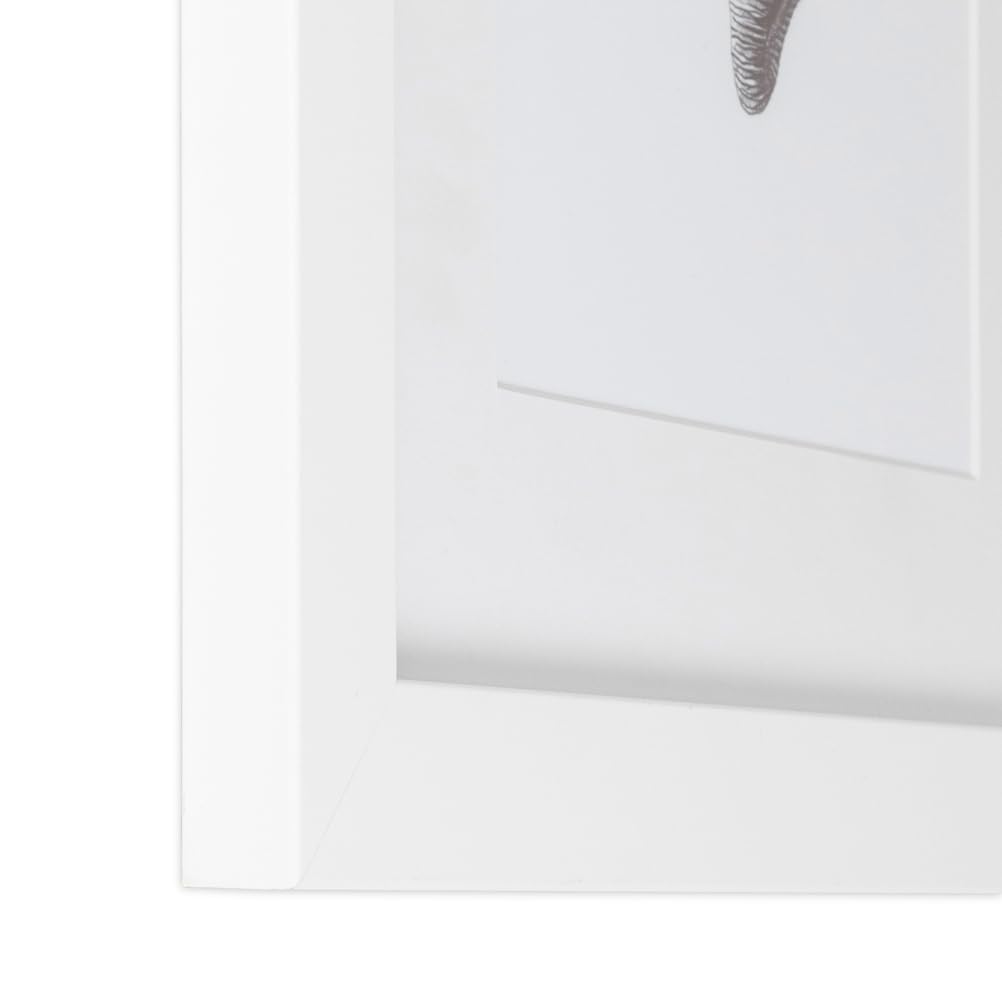 Amazon.co.jp: ArtToFrames 9x12インチ サテンホワイト写真フレーム 2