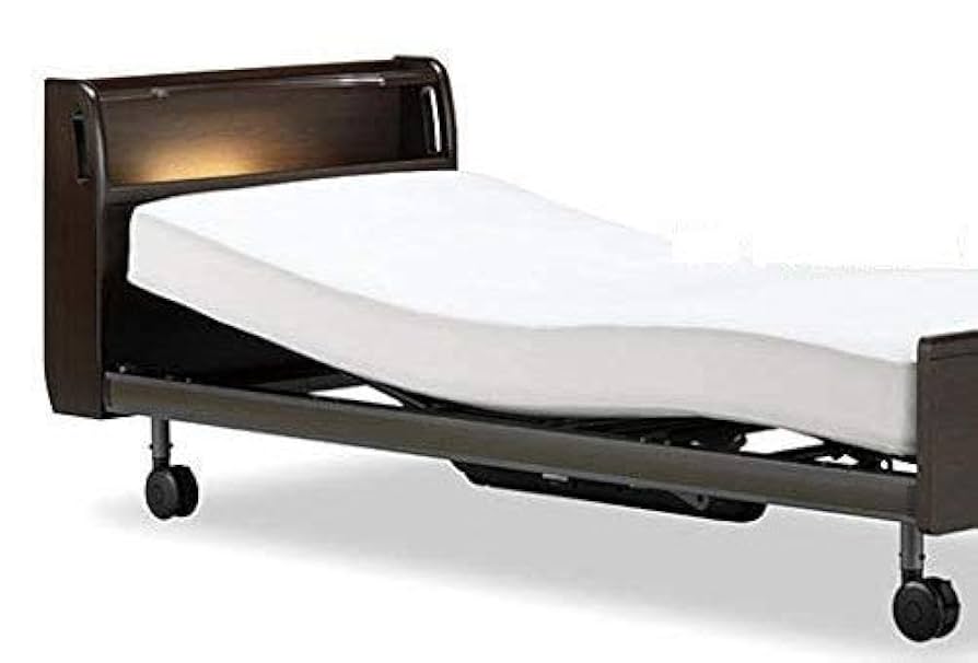 ⚫️フランスベッド/CU-203C/2体まとめて美品セミダブル/電動リクライニング ⚫️フランスベッド/CU-203C/2体まとめて美品セミダブル/電動