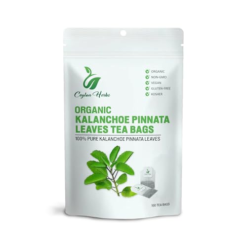 Kalanchoe Pinnata Leaves Tea Bags – 100% Pure Dried Leaves,