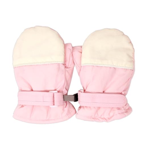 MILASIC Xm[O[u sN LTCY LbY  j̎q ̎q q ~p   ӂӂ {Af N w wN ʊw ۈ牀 ct N WjA  킢  V h ΍ XL[ Xm{