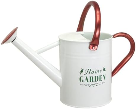 Metal Watering Can for Outdoor Plants, Galvanized Steel Watering ...