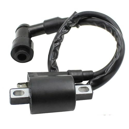 Encendido para motocicletas que elimina fallas de arranque en motores de 50 a 250 CC 4
