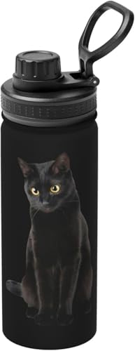  L L ʔ ˂ (14)  ^fM ۉ ۗ X|[c{g lC XeX{g X|[cΉ RȂ 530ml j̎q ̎q  l q Aj ObY LN^[ v[g v6gb151