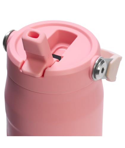 Image of Stanley IceFlow Flip Straw 2.0 Water Bottle 24 oz | Built-In Straw for Travel and Sports | Lightweight and Leak Resistant | Insulated Stainless Steel | BPA-Free | Pink Mesa