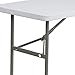 Flash Furniture Elon 4' Rectangular All-Occasion Plastic Folding Event Table, Folding Banquet Table for Indoor/Outdoor Events, White