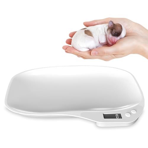 WIYETY - Báscula digital para animales pequeños con 4 modos de pesaje (kg/oz/lb/ml) para gatitos, cachorros, hámsters, pájaros pequeños (15 kg)