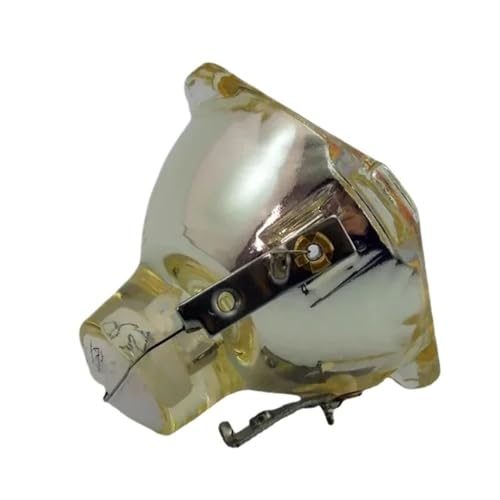 LP130 INFOCUS lampe SP-LAMP-LP1 pour vos séances de cinéma à la maison