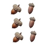 FONDOTIN Lot de 6 Petits Glands Décoratifs Naturels Fleurs Séchées pour Décoration D...