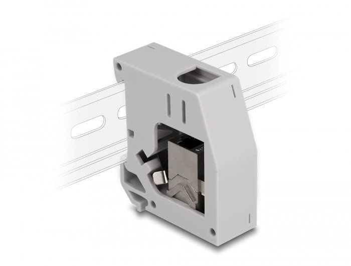 Delock Adaptateur de Rail avec Module Keystone RJ45 Femelle vers RJ45 Femelle Cat.6A