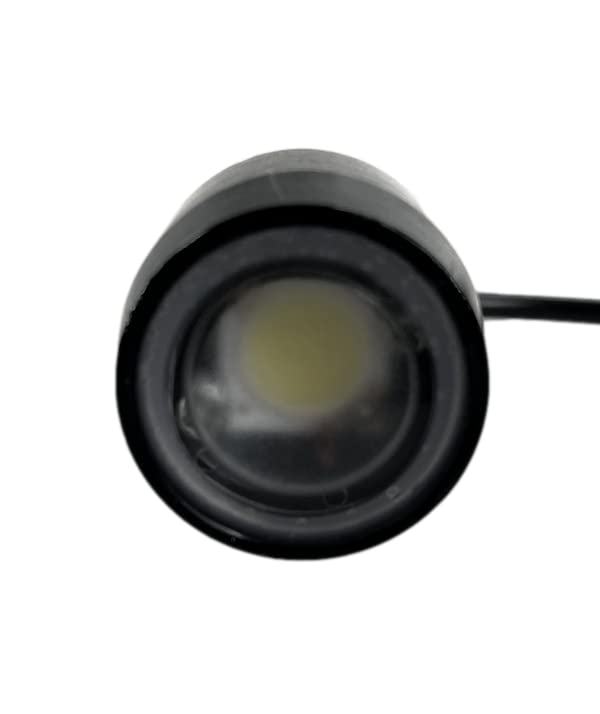 Pactrade Marine Black Aluminum Housing Plug/Transom Light DC10-30V LED Waterproof IP68 10W per LED Lengthy Wired with Screws Interior Temperature (220 LM LED - 1pc Blue)