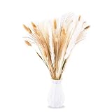 💐Materiales de alta calidad: La decoración de flores secas está hecha de hierba de pampa natural y de alta calidad.Nuestro juego de hierba de pampas seca pequeña natural de alta calidad ha mantenido el color original y las plumas están llenas y uniformes. Se puede combinar o usar por separado para el bricolaje; está hecho a mano y se ve muy realista y hermoso.