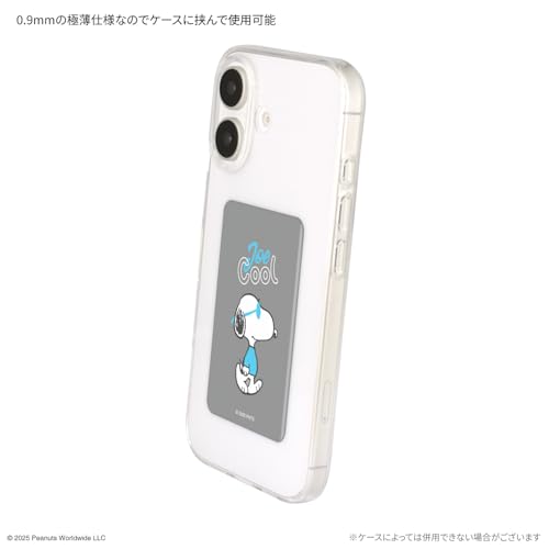 グルマンディーズ ピーナッツ スヌーピー スマ冷え Premium ジョー・クール SNGG-117B