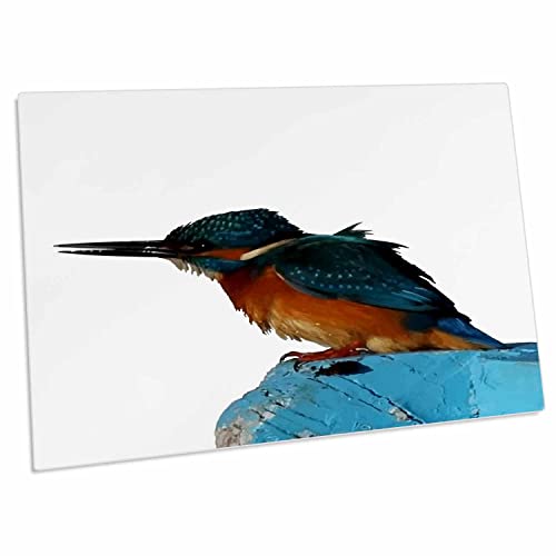 3dRose Colorful Kingfisher Vector - Desk Pad Place Mats
