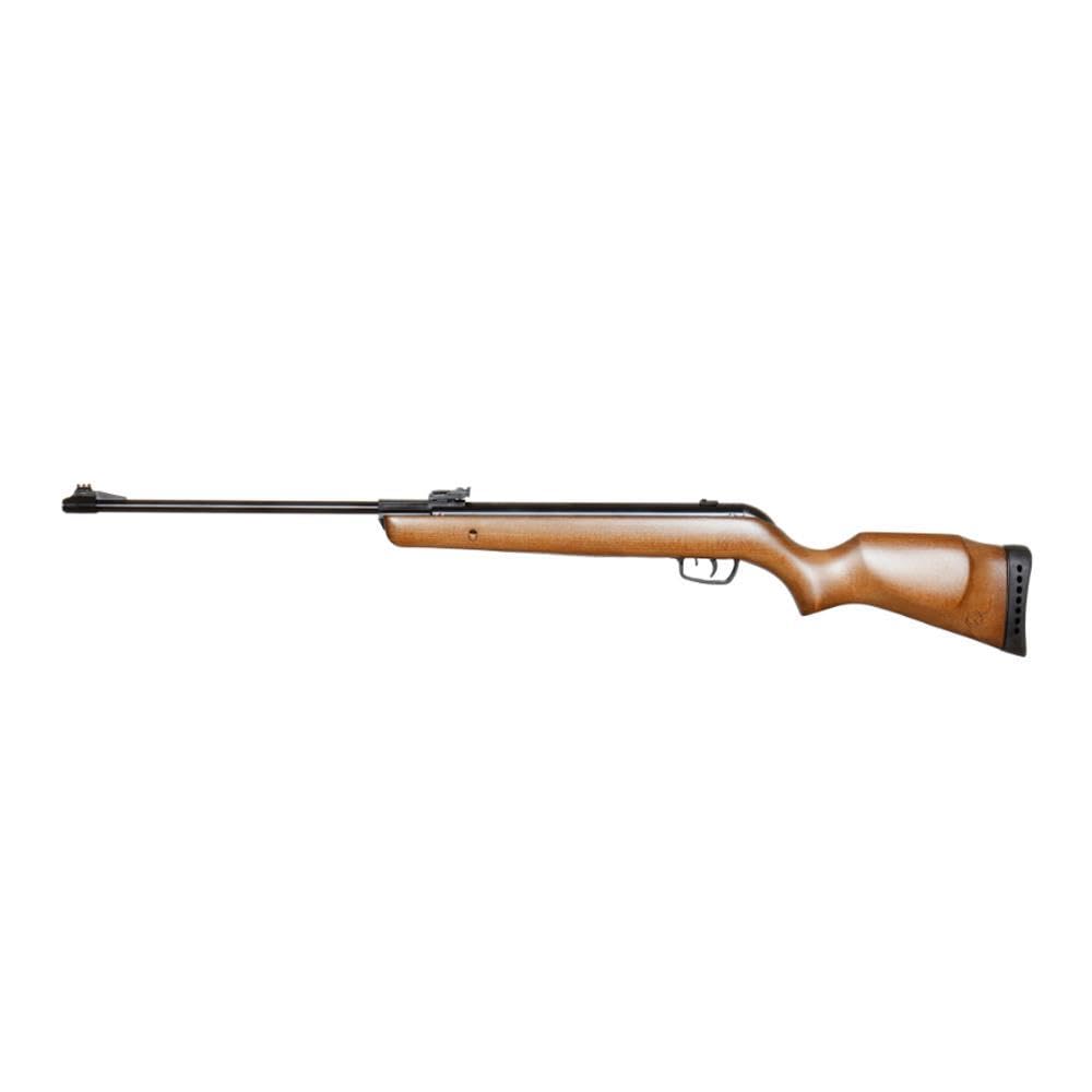 Carabine 24J de loisir GAMO BIG CAT HUNTER pour tir en extérieur