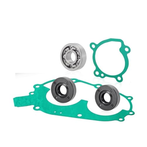Kit de reconstruction d'eau et roulement 3086748 pour vos sorties en 400 400L