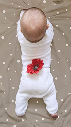 Bear’s Little Fish 100% Organic Cotton Baby Bassinet Sheets - Soft Fitted Crib Sheets For Hourglass Rectangular Oval Bassinet Mattress Pad Baby Basket Bedside Bassinet Sheets - 3-Pack #TOP6