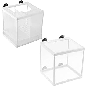 2 stuks aquariumkweekdoos, visbroederij incubator, visbroederij isolatiedoos, Fry broederij incubator met zuignap, voor…
