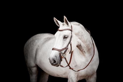 Bridon Micklem2 Competition poney havane filet ergonomique cuir - 2