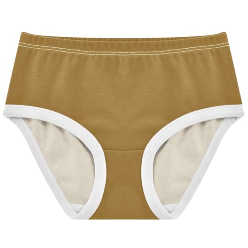 Joisal Khaki Brown Toddlers Underwear Floral 2t Cotton Panties for Girl Cartoon Briefs Girls Undies