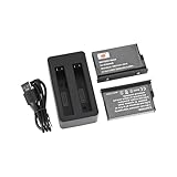 DSTE 2-Pack Is360 X5 Is360 X5B(3.89V/2550mAh) Wiederaufladbarer Akku Ersatzakku und Type C Dual USB Ladegerät Kompatibel für 360 X5 Accessories Is360x5 Is360 X5 Ultra Kamera
