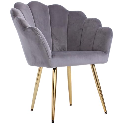 NOVECRAFTO Grey Velvet Vanity Chair with Gold Plating Metal Legs - Elegant Lounge Accent Chair for Bedroom, Living Room or as Stunning Dressing Table Chair - Soft, Comfortable and Stylish