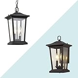 Smeike Outdoor Wall Sconce Light and Pendant Light, Exterior Light Fixture with Clear Glass, Exterio