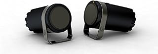 Altec Lansing BXR1220 2-Piece Desktop Speaker System (Renewed)