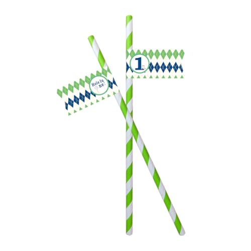 VOWFOO Golf Themed Birthday Party Straw Decor, 20 PCS Hole In One 1st Birthday Disposable Paper Cocktail Drinking Straw With Flag Tag for Baby 1st Birthday Party Decorations (Plaid Pattern Hole In 1)