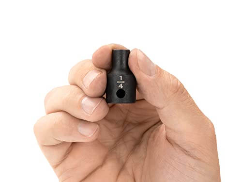 Image of TEKTON 3 /8 Inch Drive x 1 /4 Inch Shallow 12-Point Impact Socket | SID12206