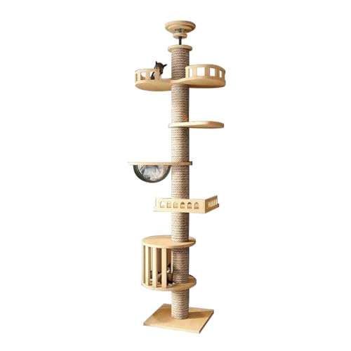 [2025 Apaeofl Lbg^[ ̃X^Cp FDnbNtc[NC~O^[ VOLbg^[ vAbvbh ȃXy[X X L̒܂Ƃ|Xg t[vbv ₷ ͊ɘa T|[g ̔L