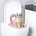 Cat Toilet Seat Training Kit,Cat Toilet Traiining System,Teach to Use,Reusable Thrainer Tool,Box for Pet Cleaning