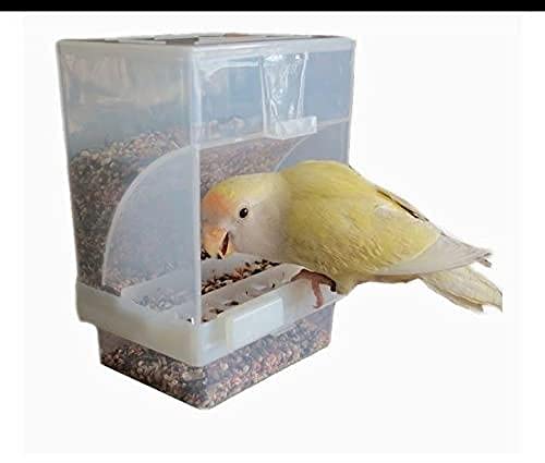 Automatic Feeder for Birds (500gms) Suitable for Budgies, Finches, African Love Birds, Conures etc (B09FH1TNF8) Amazon Price History, Amazon Price Tracker