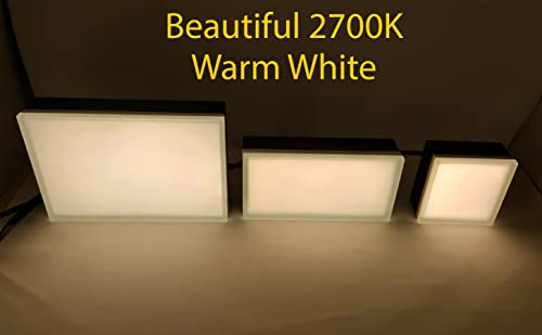 Image of LUMENGY Paver Light 6X9 Inch (5.82 x 8.85 inches) 2700K, Brick Lighting for Pavers, Driveways, Pathways, Patios, Inground & Garden, 12V Waterproof, Drive-Over Rated