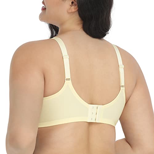Hsia Minimizer Bras For Women Full Coverage, Plus Size T-Shirt Bra Unlined Bra With Underwire, Nude 38G #TOP2