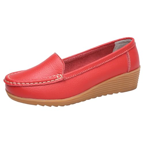 [t@[ JV pvX fB[X JWA y Vv  ʋ ItBX EH[LOV[Y L tbgV[Y  r Xb| Ȃ ɂȂ ؂ C rWlX d N[g(bh,22.5 cm