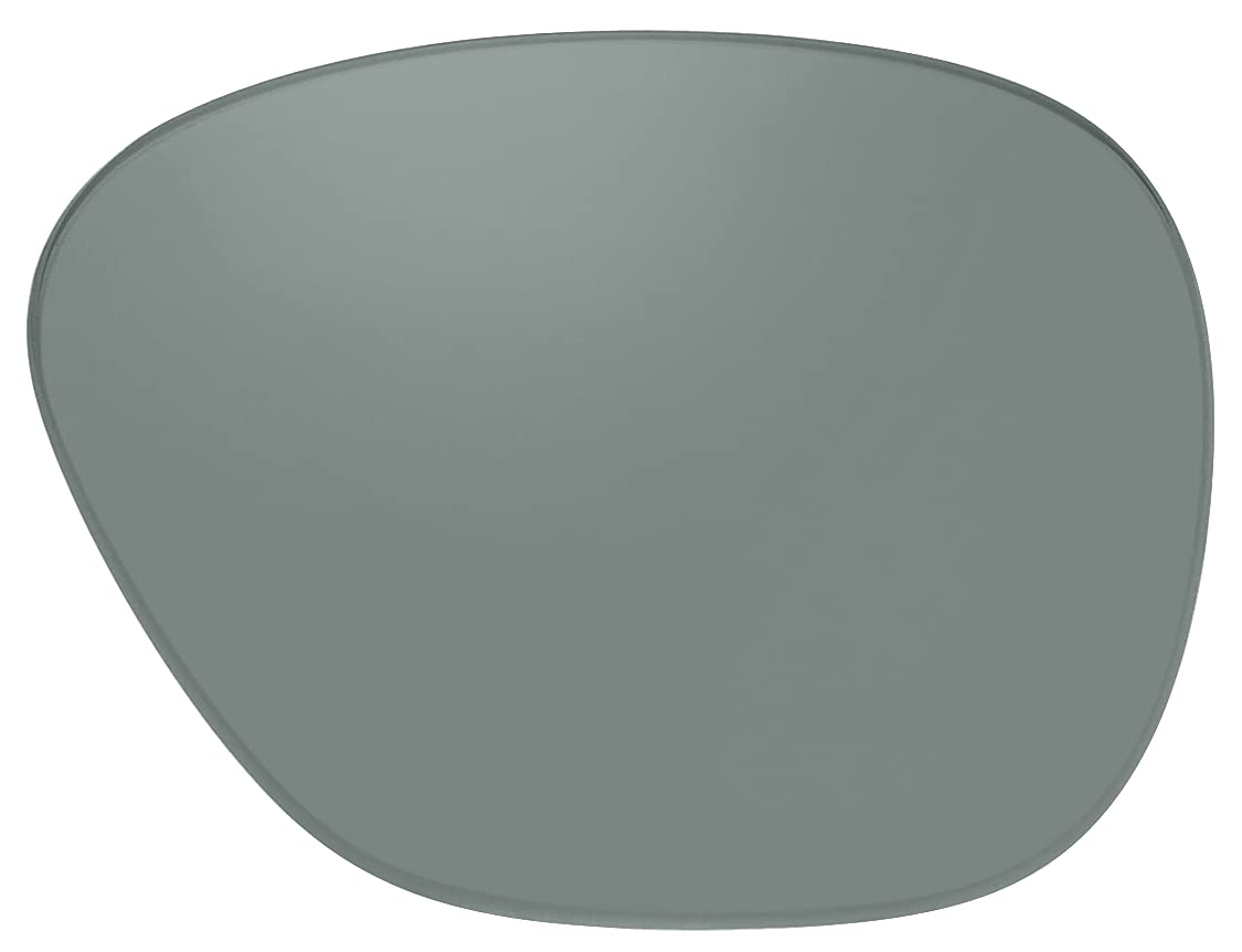 Smith Leadout PivLock Polarized Sunglasses Replacement Lenses Grey Bi-Focal+1.00