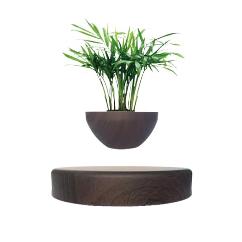 bureau C㎮t[eBOvg|bgA_~j}Xgz[fR[VfXNprWlXMtg(Deep Brown)