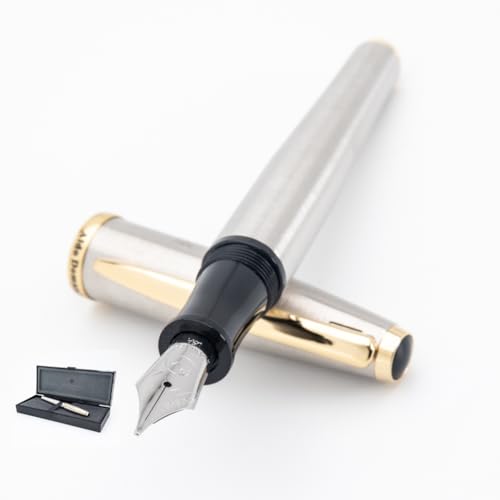MONTEVERDE USA Aldo Domani 万年筆 (つや消し) - 極細ペン先