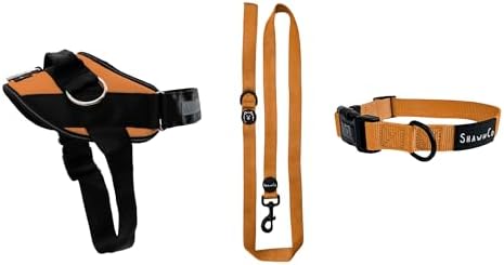ShawnCo Essential Harness, Leash & Collar Set (Sunset Orange, L)