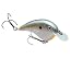 Sexy Shad 2.0