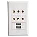 Płyta ścienna, 2 x 3 cinch + ładowarka USB 2,1 A, modułowe złącze audio Keystone gniazdo białe dekoracyjne złącze pokrywa urządzenia montaż płyta czołowa - (Typ: 118)