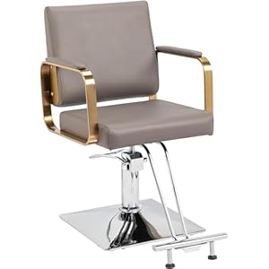 Barber Chair Salon Chair for Hair Stylist, Beauty Salon Spa Equipment with Heavy Duty Hydraulic Pump, Adjustable Height & 360° Swivel for Barber Shop Hair Stylist, Max Load 330 lbs(Grey)