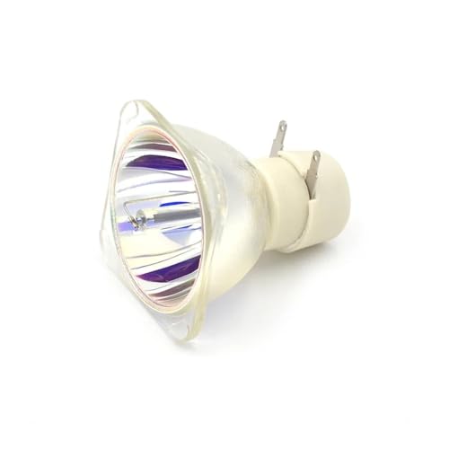 Ampoule de rechange pour projecteur JG811-005 pour réparer l'image noire P1273